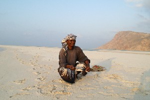 pecheur de socotra